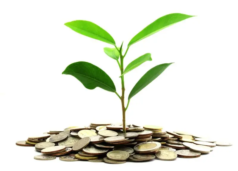 Инвестиции SKF в сохранение экологии | Свежие новости в Воронеже